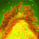 Illustration for article titled GEs Point and Shoot Microscope Snaps Spectacular Cellular Shots